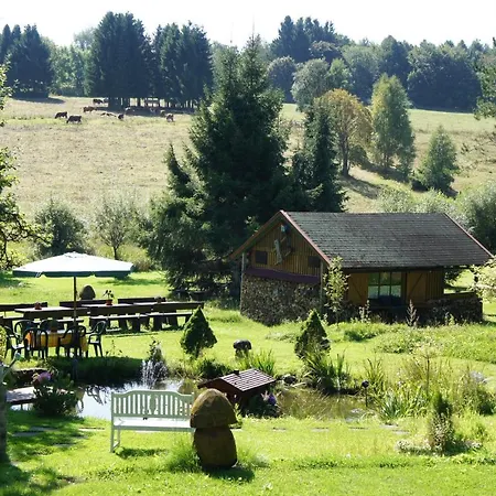 Villa Am Paulsberg Braunlage Exterior photo